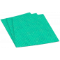 CLEAN AND CLEVER- PRO LINE PRO 65- ممسحة اسفنجية بقياس ٢٦ سم X ٣٢ سم بلون أخضر