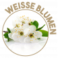 DESODOR® منظف ومعقم سطوح مركز بعطر الزهور البيضاء ٢٠ مل جرعة واحدة