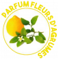 KING® ECO ATTIVO- DETERGENTE PAVIMENTI E SUPERFICI- FRAGRANZA AGRUMI- 20 ML X 250 KING® ECO ATTIVO- DETERGENTE PAVIMENTI E SUPERFICI- FRAGRANZA AGRUMI- 20 ML X 250