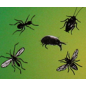KING®ECO AKTIF- قاتل الحشرات متعدد الأغراض ٥ ليتر