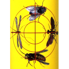 PUCK® بخاخ مبيد حشري فعال شال لحركة كافة الحشرات الطائرة ٧٥٠ مل
