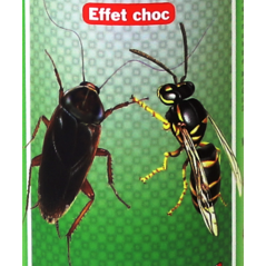 U2® مبيد الحشرات بمفعول الطلقة الواحدة ضد الحشرات الطائرة والزاحفة ٥٠٠ مل